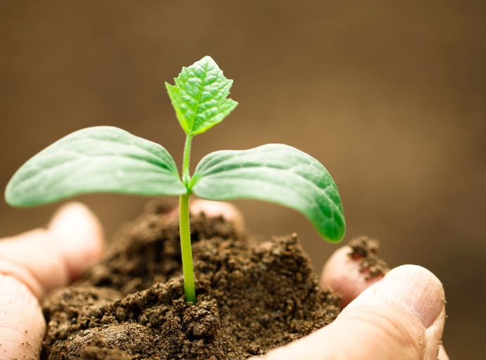 Acciones para afianzar la sanidad y la inocuidad de los alimentos de origen vegetal