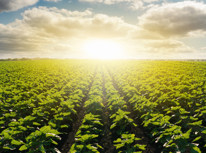 Sistemas agrarios de Ecuador, México y Brasil reciben el máximo reconocimiento de la FAO