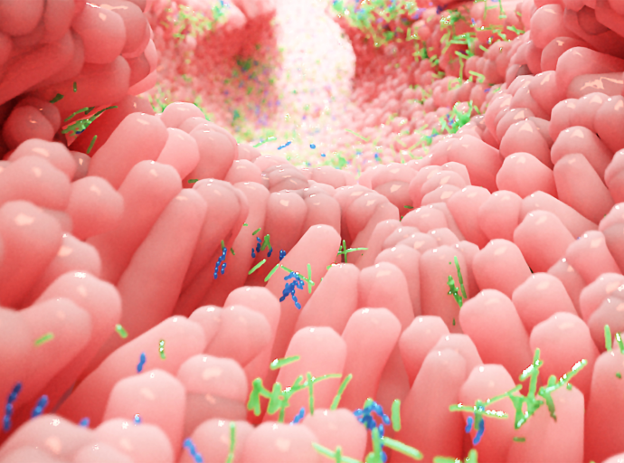 Cuatro nuevos informes destacan la importancia del microbioma para la inocuidad alimentaria, los suelos y la nutrición