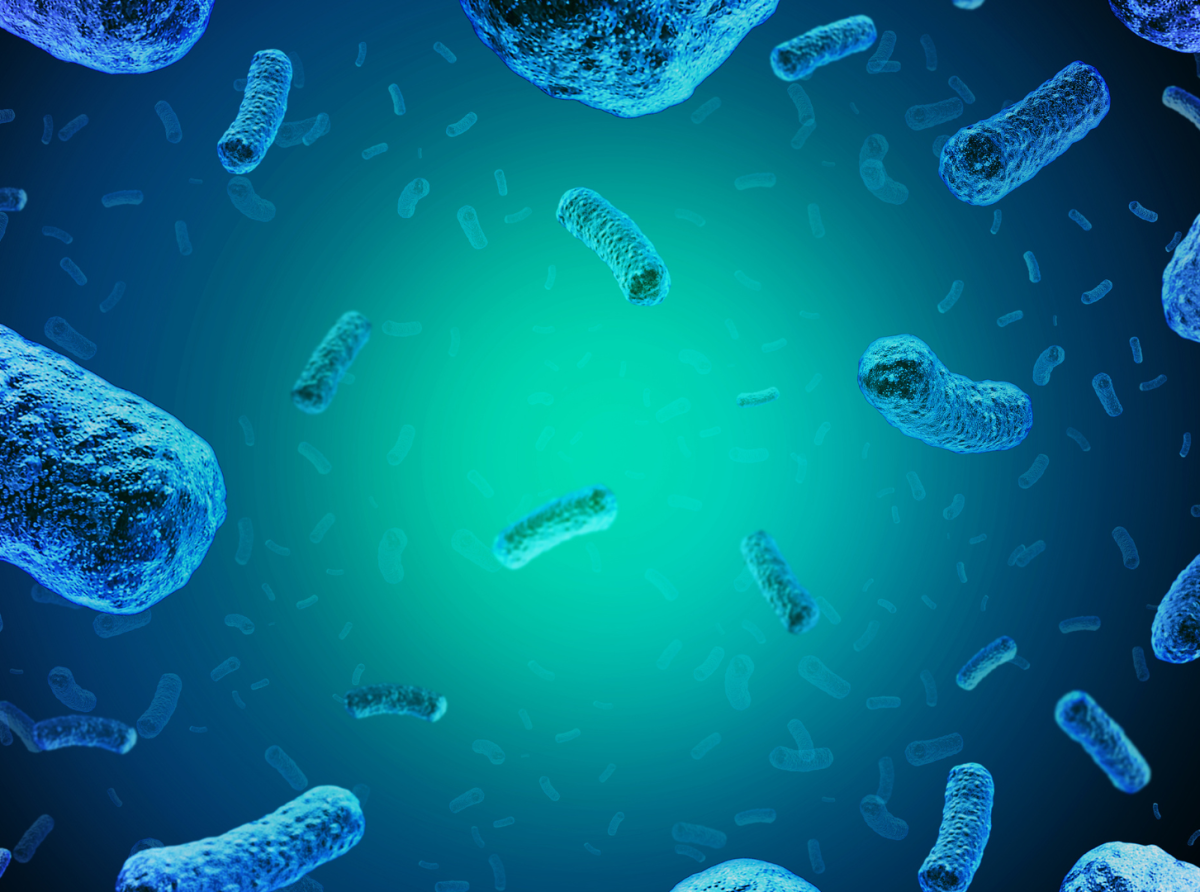 Brote de listeria enferma a 5 y mata a 3 en Washington