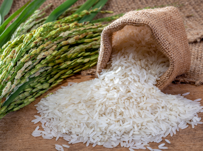Precio elevado del arroz pone en riesgo la seguridad alimentaria