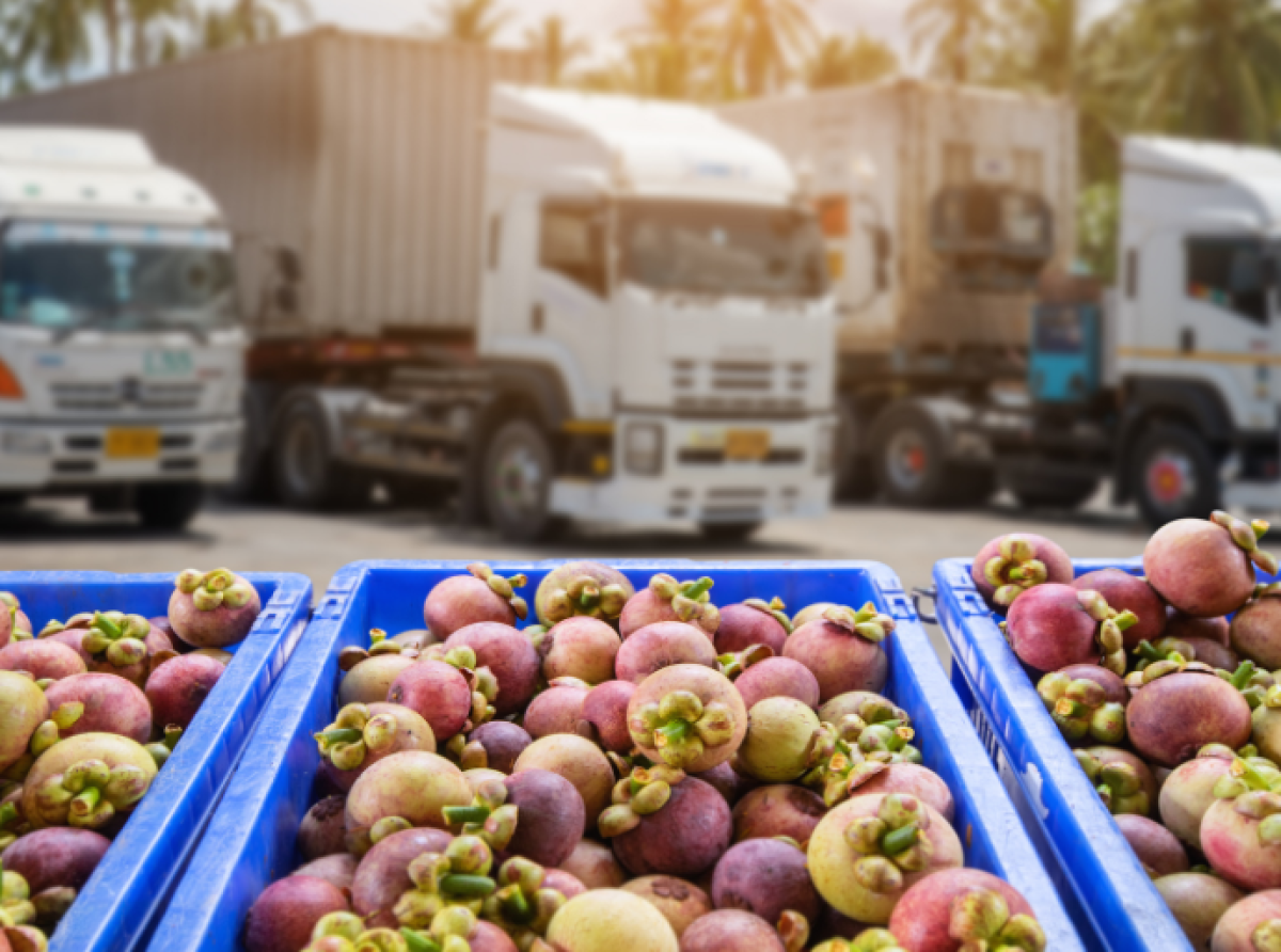 Desarrollo sostenible: Retos y soluciones para el transporte y distribución de Alimentos