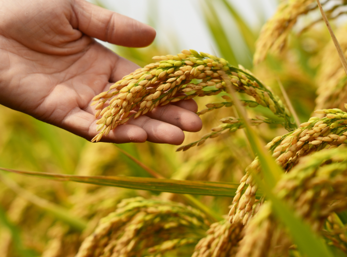 El Foro InnovAcción de Vitartis presentó iniciativas innovadoras que mejoren la sostenibilidad de la industria alimentaria