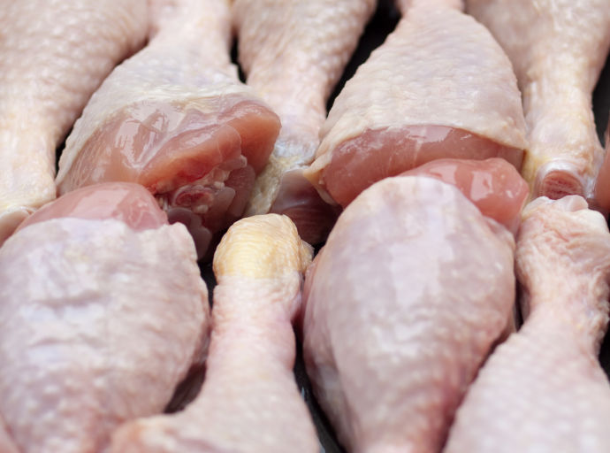 Expertos evalúan métodos para controlar Campylobacter en carne de pollo