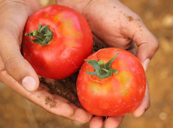 México en la cima como pionero de la agroindustria sostenible