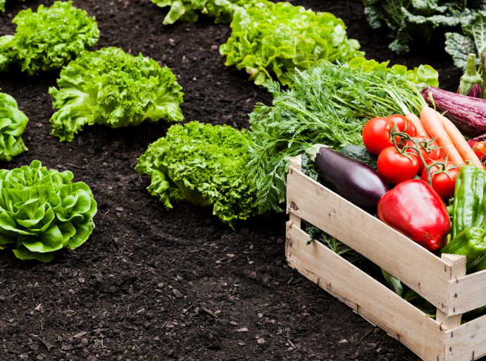 El Foro Mundial sobre la Alimentación y la Agricultura en Berlín marca un hito en el avance de la bioeconomía sostenible y reconoce el liderazgo de la FAO