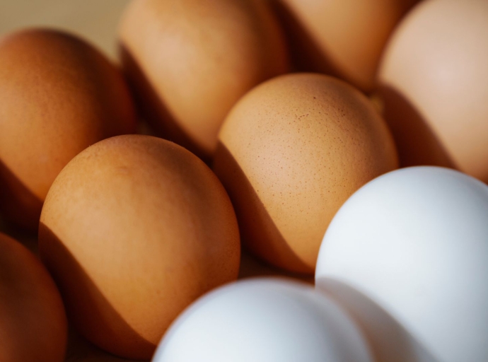 Alerta sanitaria: retiran estas 6 marcas de huevos por posible contaminación con salmonella