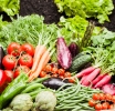 Foro Nacional de Bioinsumos impulsa la sostenibilidad en la industria alimentaria de Costa Rica