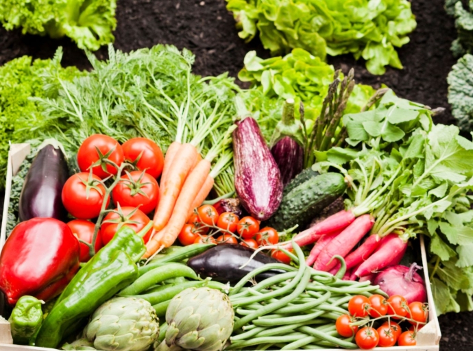 Foro Nacional de Bioinsumos impulsa la sostenibilidad en la industria alimentaria de Costa Rica