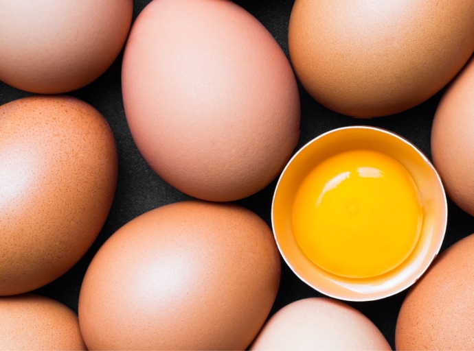 Impacto de la gripe aviar en la industria alimentaria: estrategias de prevención y control