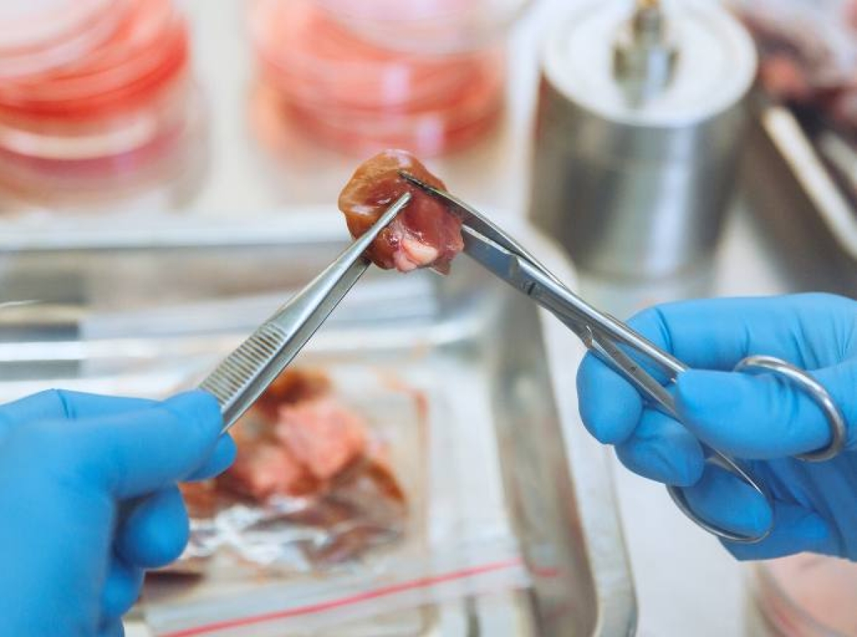 La inteligencia artificial aplicada a la industria alimentaria centrará la séptima edición de ftalks Food Summit