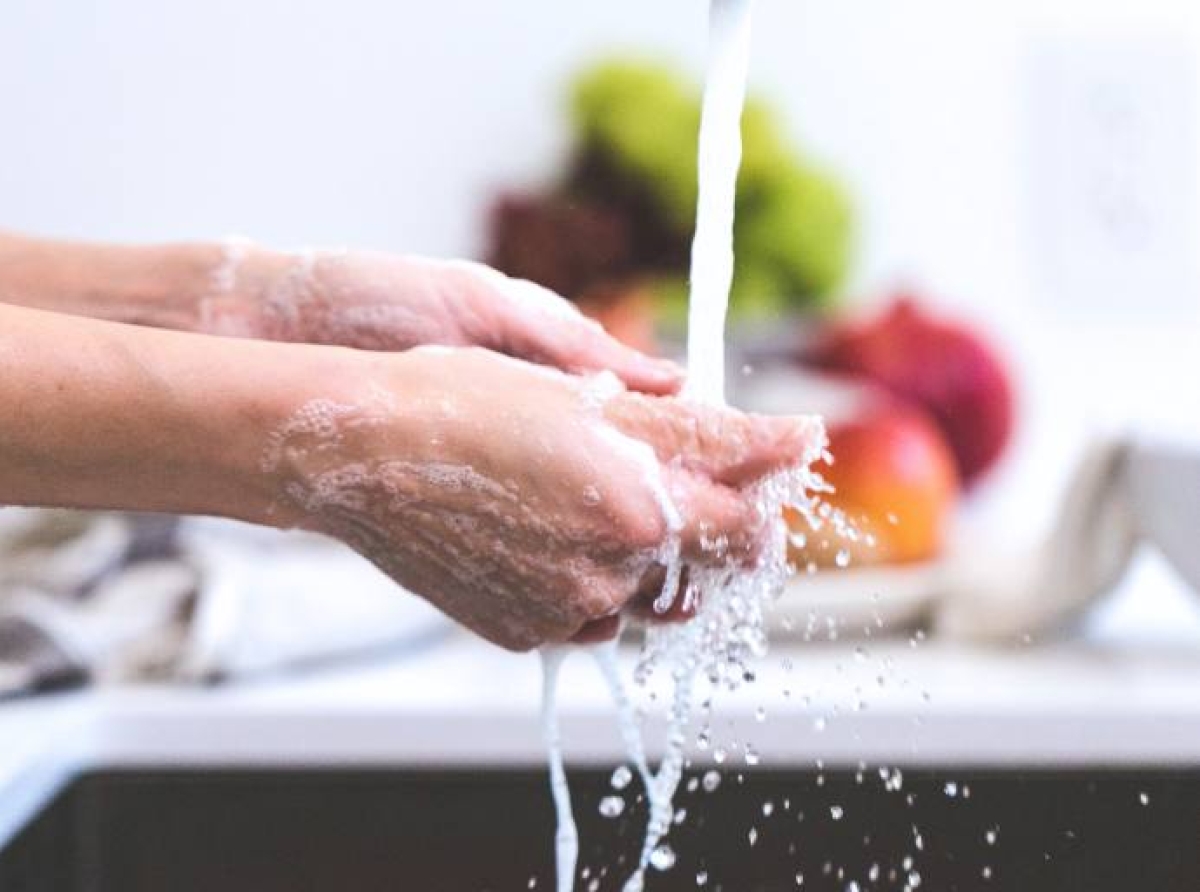 El 27,5% de los brotes de alimentos se originan en el hogar