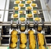 ¿Podríamos alimentar a 8 mil millones de personas sin destruir el mundo? Una victoria necesaria