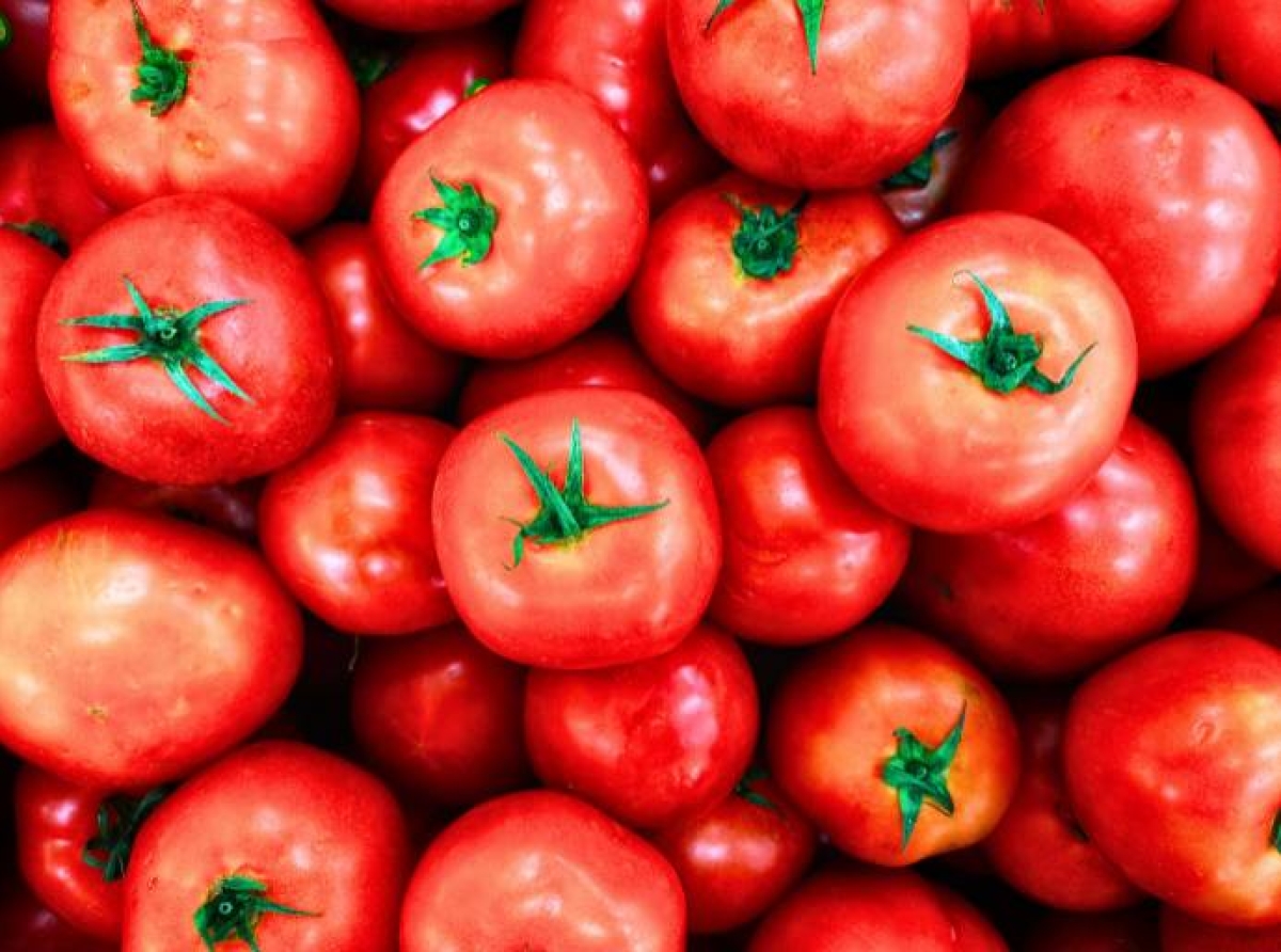 Importaciones de alimentos bajo escrutinio: el último índice FOODAKAI revela que EE. UU. y China son los principales rechazos fronterizos mundiales