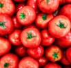 Importaciones de alimentos bajo escrutinio: el último índice FOODAKAI revela que EE. UU. y China son los principales rechazos fronterizos mundiales
