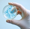 Tasas récord de infecciones por E.coli y Listeria en la UE/EEE en 2023